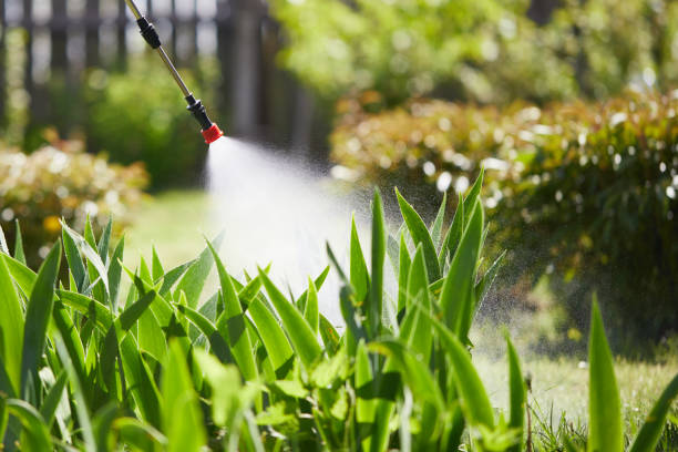 24/7 Emergency Mosquito Control experts in Ridgecrest, CA