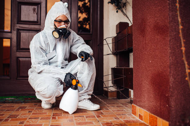 Reliable Mosquito Control contractor in Ridgecrest, CA by Show Me Pest Control